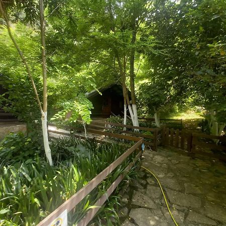 Villa Syri Kalter Sarandë Exteriör bild